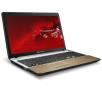 Packard Bell (Acer Brand) TSX66HR 15,6" Intel® Core™ i3-2310M 6GB RAM  500GB Dysk  Win7