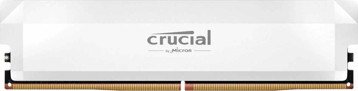 Pamięć RAM Crucial Pro OC DDR5 16GB 6000 CL36 Biały