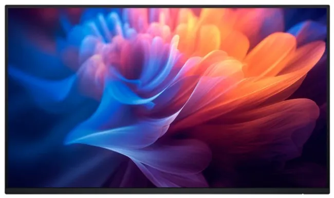 Monitor Dell P2725H WOST 27" Full HD IPS 100Hz 5ms Bez podstawy