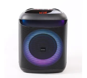 Power Audio Zehnder Party Box PB400 40W Mikrofon Bluetooth Czarny