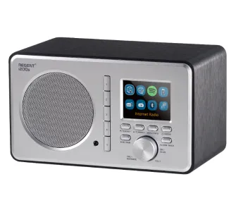 Radioodbiornik Ferguson Regent i200s Radio FM Internetowe Bluetooth Szary