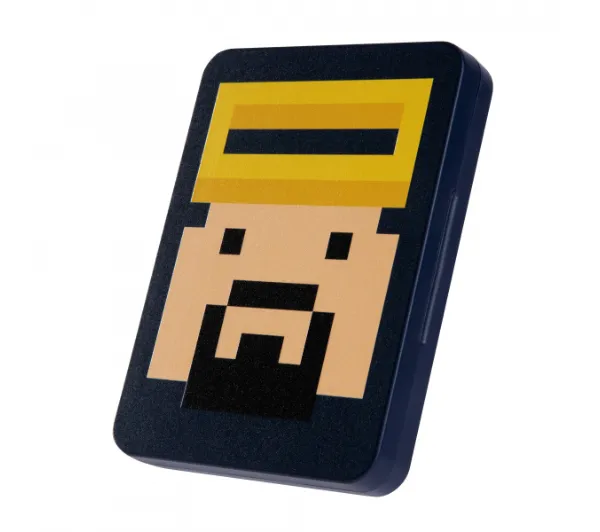 FUNLAB Switch Game Card Holder with 16 Card Slots Dave the Diver