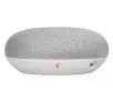 Głośnik Google Home Mini Smart Chalk