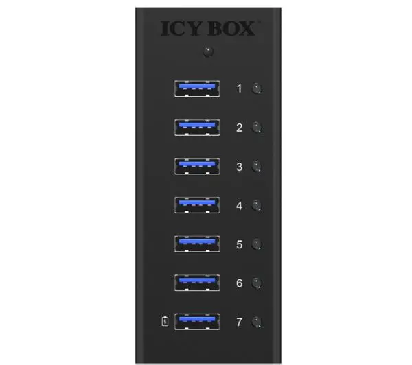 ICY BOX IB-AC618
