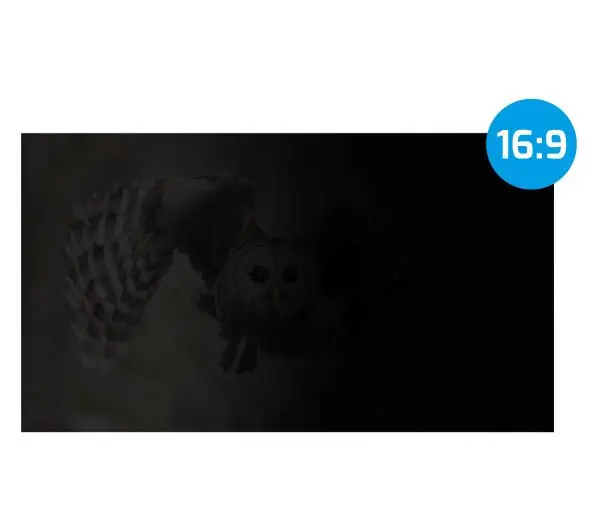Natec OWL 24" 16:9