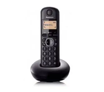 Telefon Panasonic KX-TGC212PDB