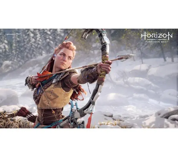 Horizon Forbidden West Gra na PS5