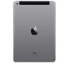 Apple iPad Air 2 Wi-Fi + Cellular 16GB Szary