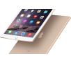 Apple iPad Air 2 Wi-Fi + Cellular 16GB Złoty