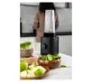 Blender kielichowy Zwilling Enfinigy 53003-001-0 0,55l Butelka