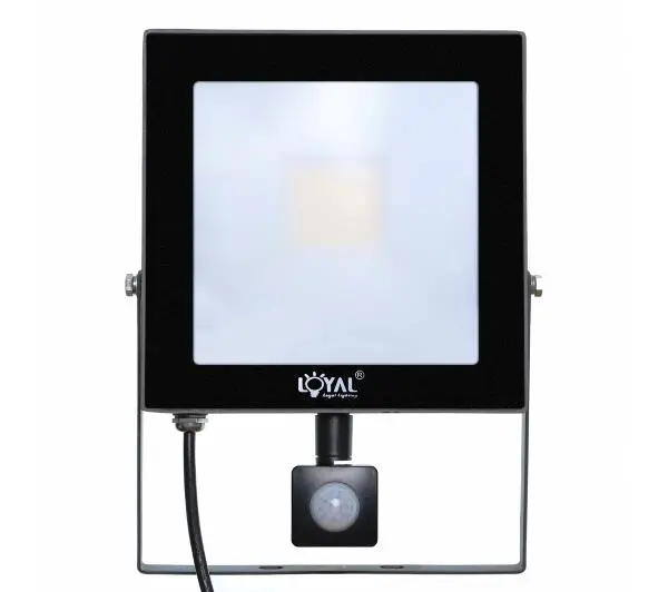 Loyal Lighting LY-FLES30 (S) 4250lm