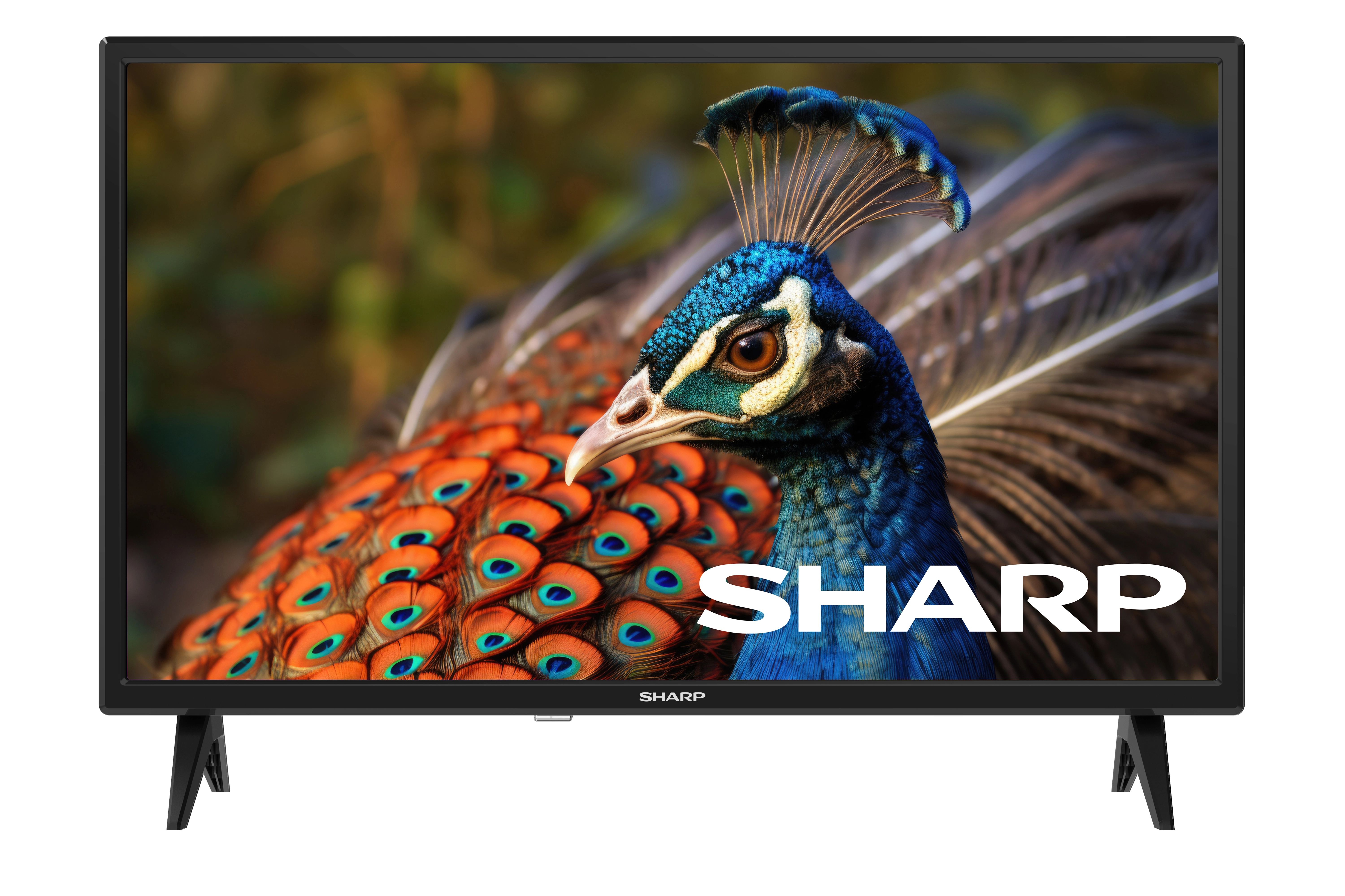 Telewizor Sharp 24FA2E 24" LED HD Ready 60Hz DVB-T2