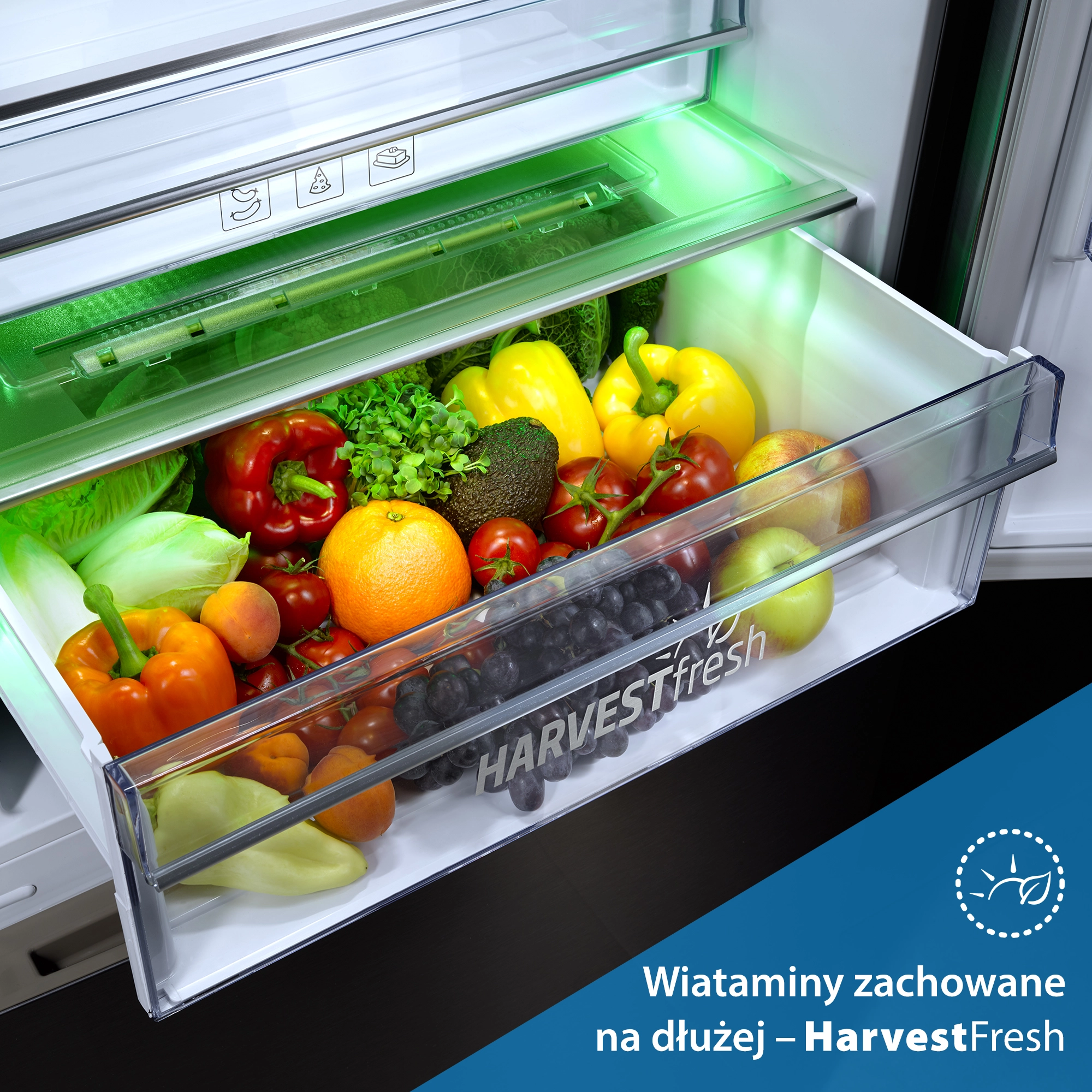 Otwarte wnętrze lodówki Beko GN1426240ZDXBRN