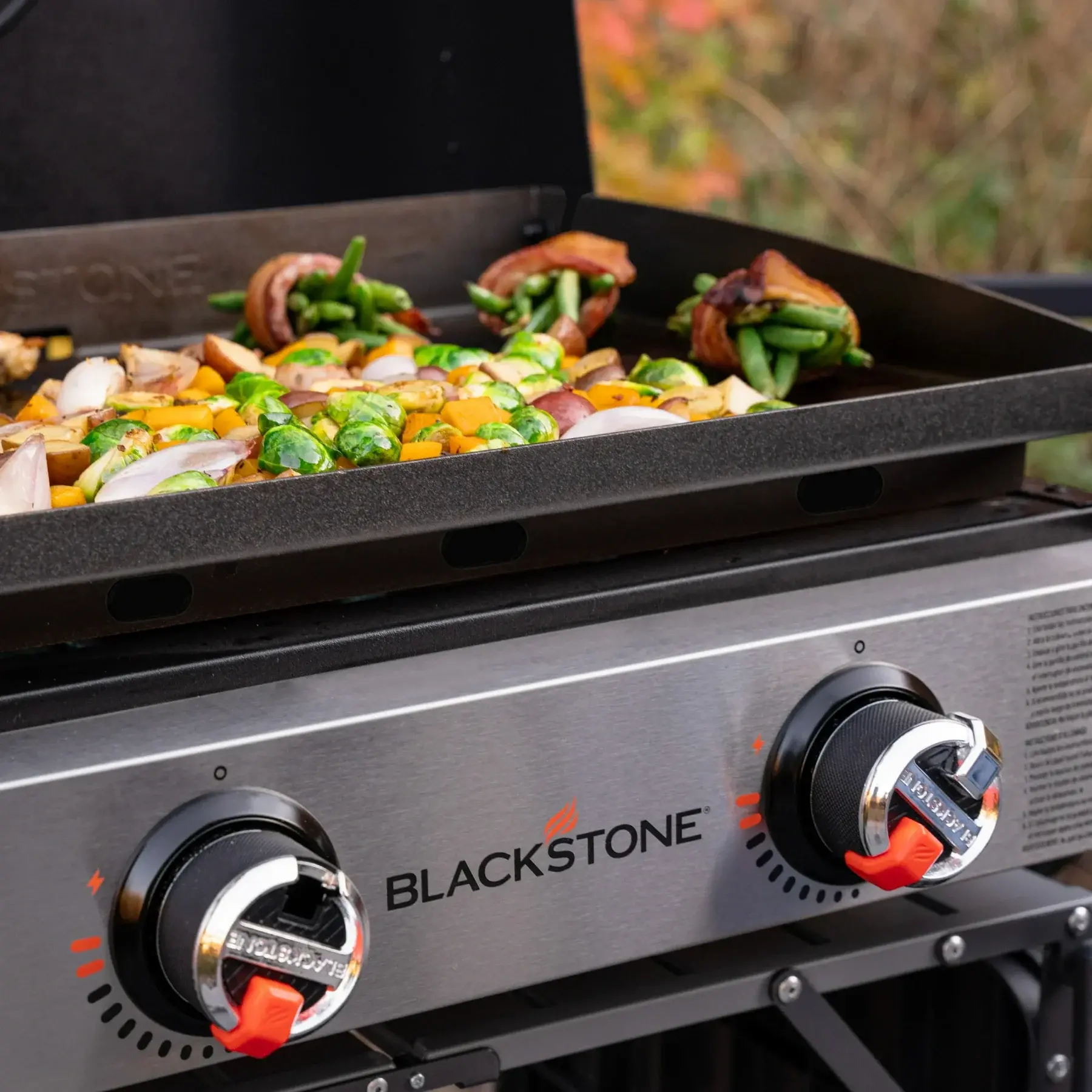фото Гриль газовый мобильный Blackstone 2140EU 2