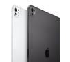 Tablet Apple iPad Pro 2024 11" 8/256GB Wi-Fi Gwiezdna czerń