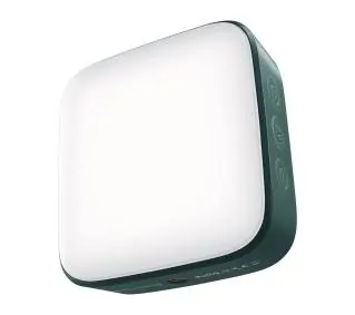 Newell Campina Zielona