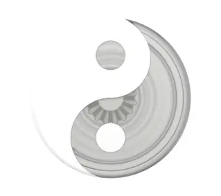 Popsockets PlantCore Grip Yin and Yang 