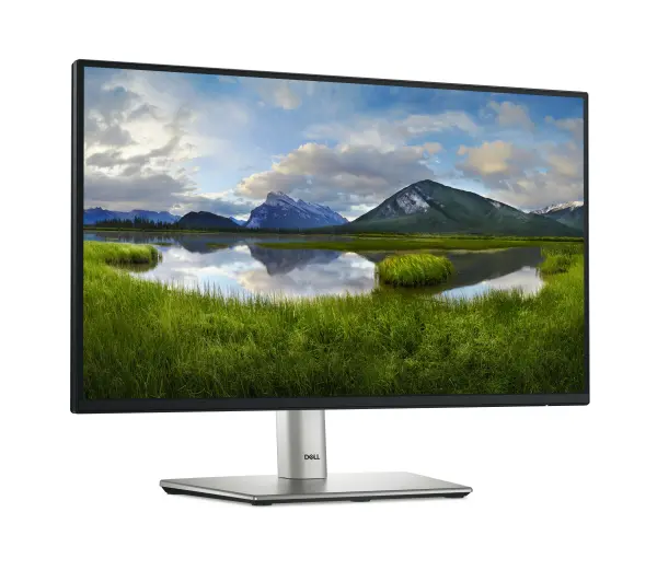 Dell P2225H 21,5" Full HD IPS 100Hz 5ms - Kup na Raty - RRSO 0%