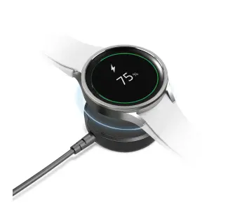 Ładowarka SBS USB-C do Samsung Watch 5W 1,2m