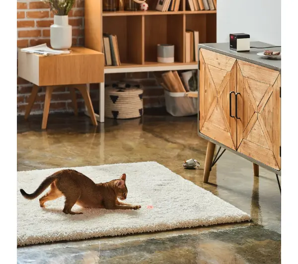 Petcube Play 2 - Kup na Raty - RRSO 0%