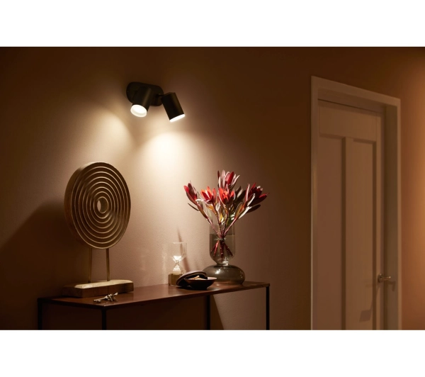 Philips Hue White and Color Ambiance Podwójne Fugato Czarny - Kup na Raty - RRSO 0%