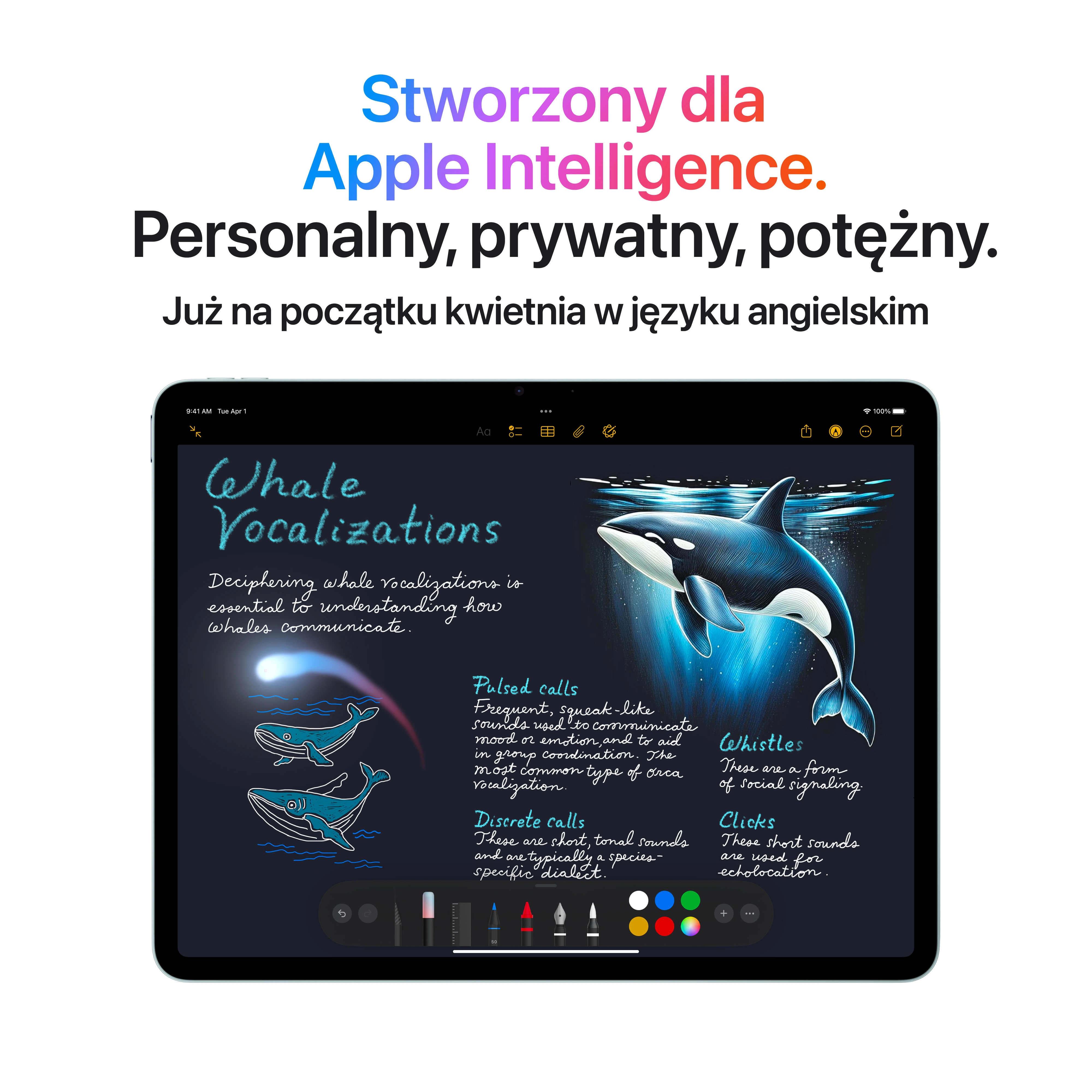 iPad本体 iPad Air Wi-Fi 2025 M3 256GB Apple iPad Air 13