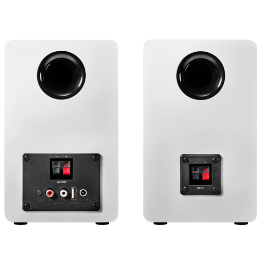 фото Акустичні колонки Audio-Technica AT-SP3X White 1