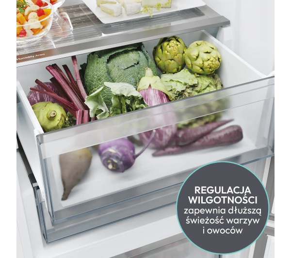 Candy ECN4CQTEW206 Fresco 500 No Frost 205cm Szuflada z kontrolą wilgotności Zdalne sterowanie Biały - Kup na Raty - RRSO 0%