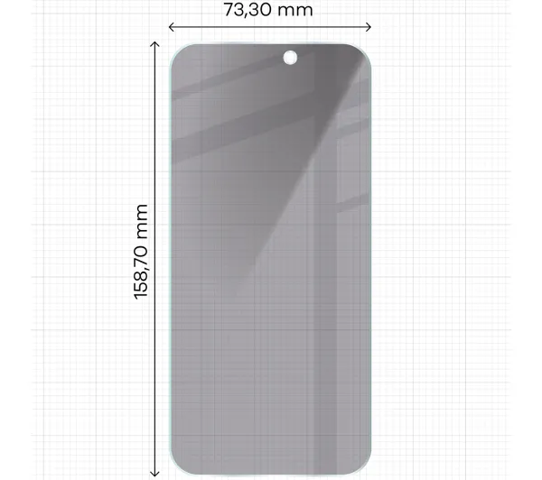 Bizon prywatyzujące Clear Shadow do iPhone 17 Pro Max