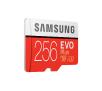Karta pamięci Samsung microSDXC EVO Plus 256GB 100 MB/s Class 10