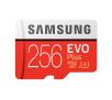 Karta pamięci Samsung microSDXC EVO Plus 256GB 100 MB/s Class 10