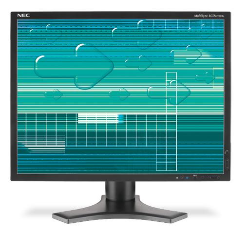 NEC MultiSync LCD2190UXp-BK