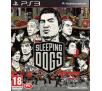 Sleeping Dogs PS3