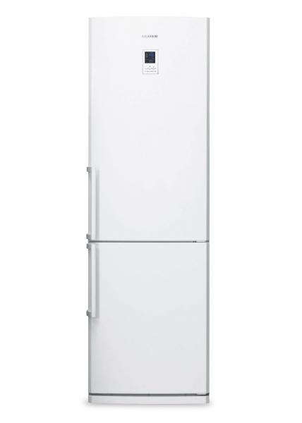 Lodówka Samsung RL38ECSW