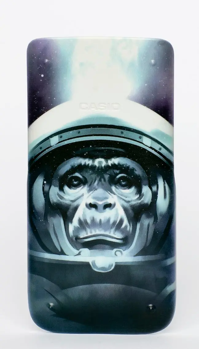 Etui Casio Cover na Kalkulator Kosmos