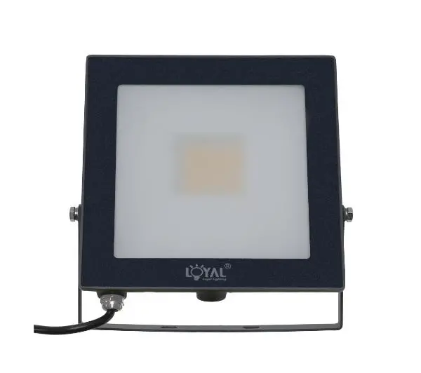 Loyal Lighting LY-FLE30 4250lm