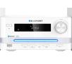 Wieża Blaupunkt MS16BT Edition 15W Bluetooth Radio FM Biały