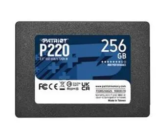 Patriot P220 256GB 2,5"