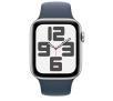 Smartwatch Apple Watch SE 2gen GPS + Cellular koperta 44mm z aluminium Srebrnym pasek sportowa Zimowy błękit M/L