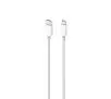 Kabel SBS Plain USB-C do Lightning 1m Biały