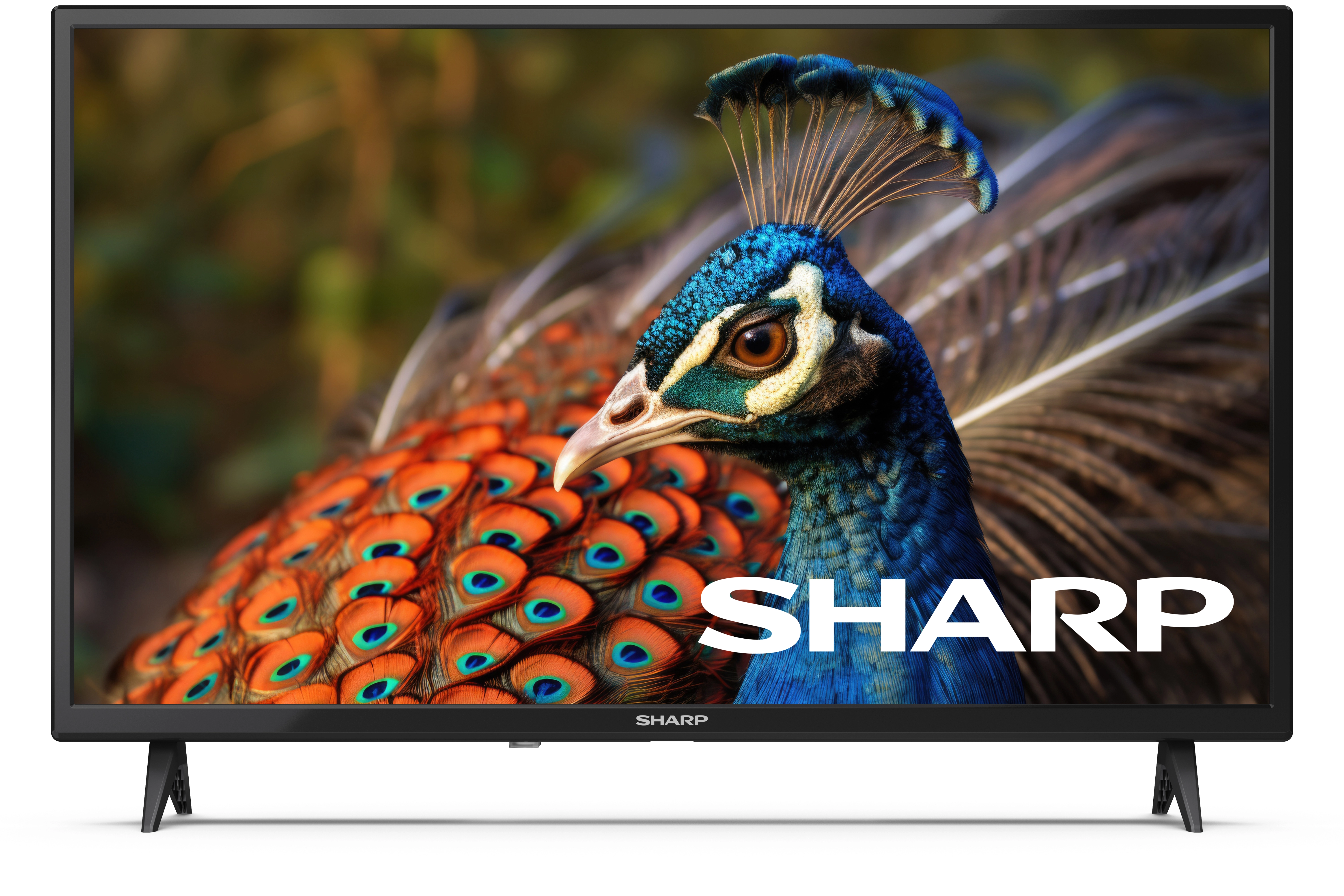 Telewizor Sharp 32FA4E 32" LED HD Ready 60Hz DVB-T2