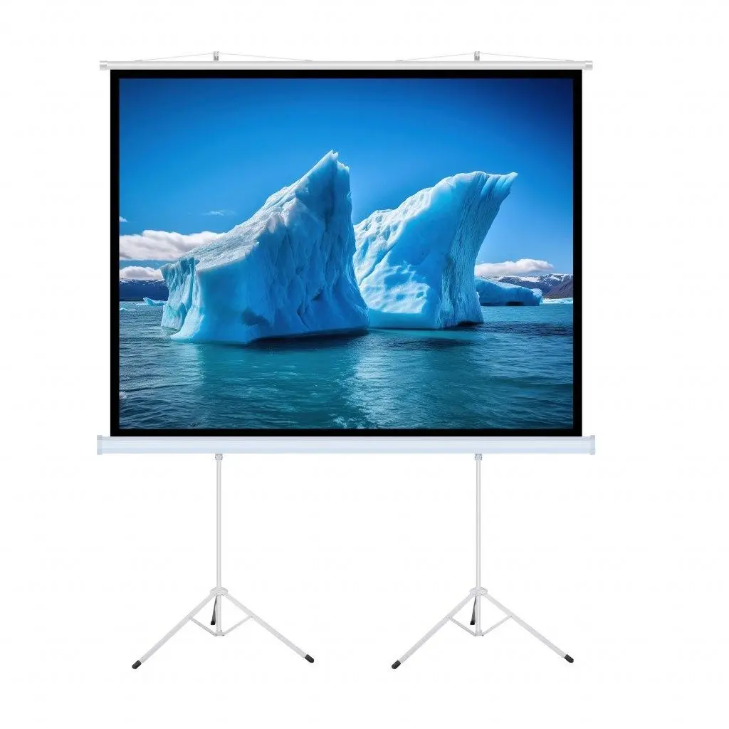 Ekran ręczny ART ERA T140 1:1 140" 254x254cm