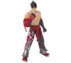 Figurka Bandai Game Dimension Tekken - Jin Kazama