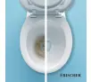 Proszek Frischer do czyszczenia toalet 1000g