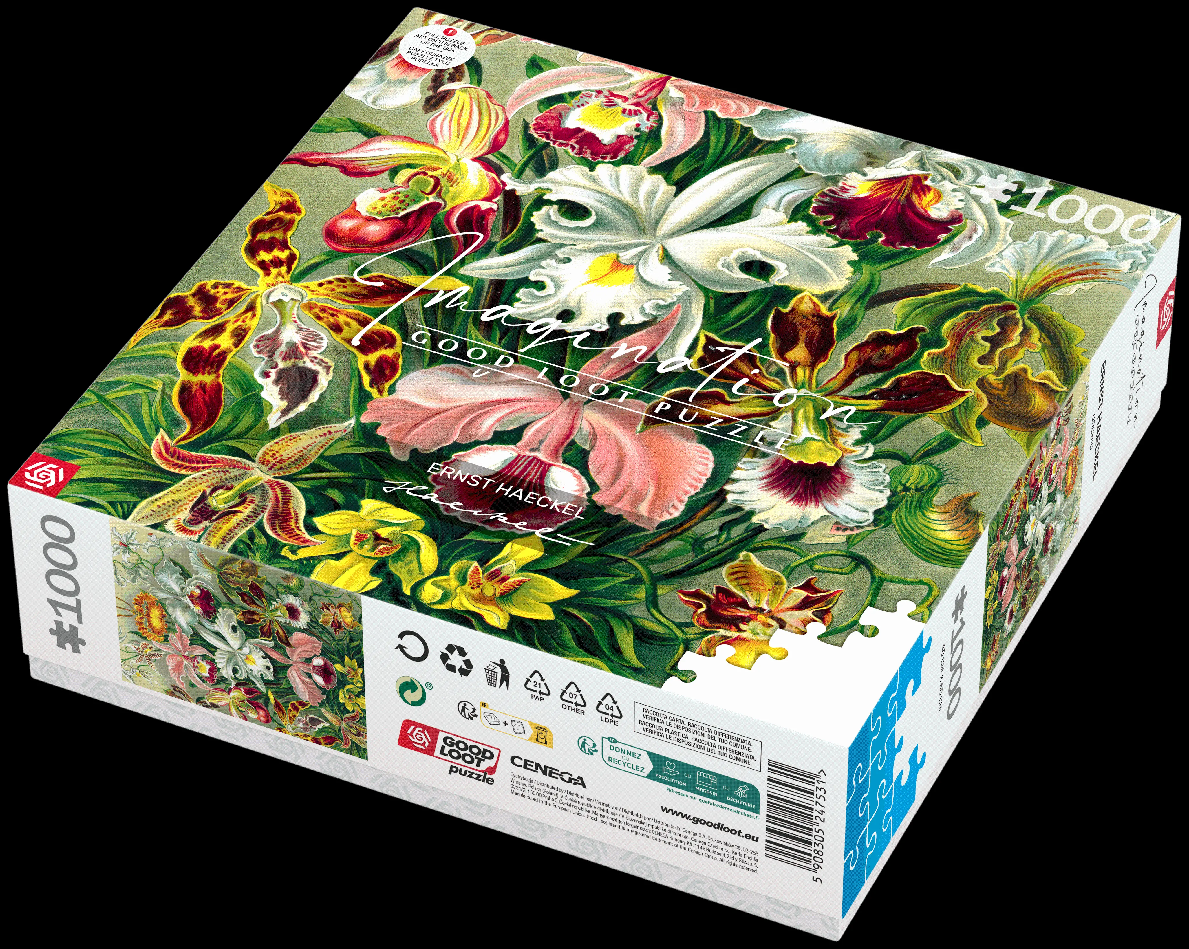 Good Loot Puzzle 1000 Pezzi - Muscinae Di Ernst Haeckel - Arte Botanica Per Adulti - 4