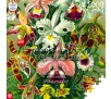 Puzzle Good Loot Ernst Haeckel Orchidea / Orchid Imagination Puzzle 1000 elementów