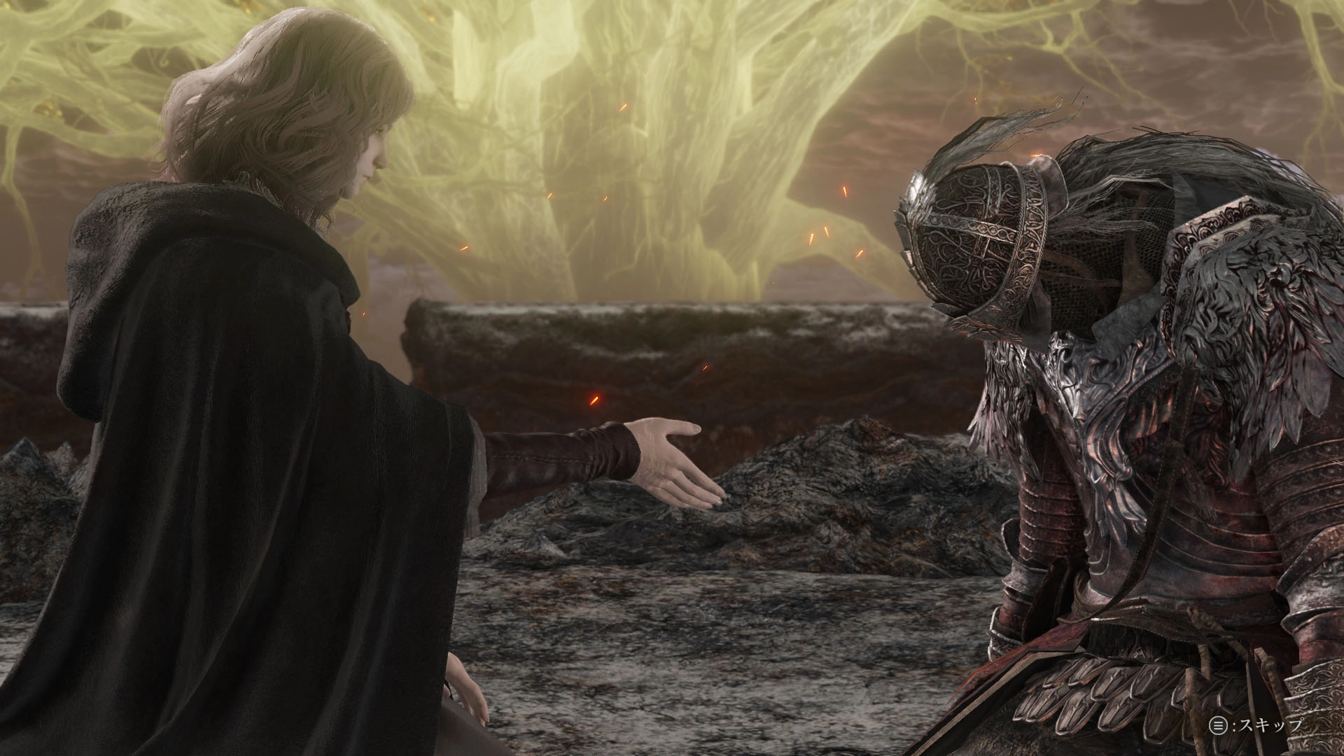 Elden Ring Tarnished Edition Edition Gra na Nintendo Switch 2