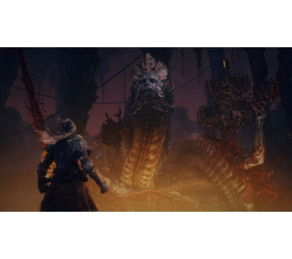 Elden Ring Tarnished Edition Edition Gra na Nintendo Switch 2