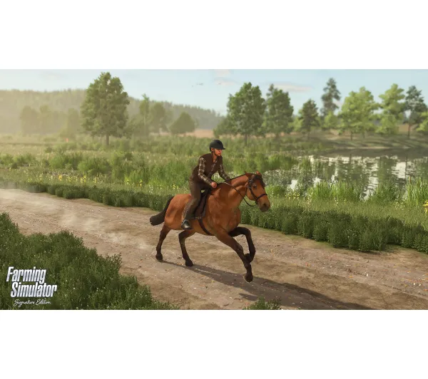 Farming Simulator Signature Edition Gra na Nintendo Switch 2