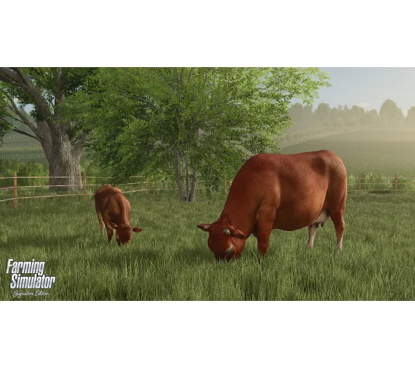 Farming Simulator Signature Edition Gra na Nintendo Switch 2